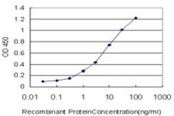 ANTI-RORB antibody produced in mouse clone 1E5, purified immunoglobulin, buffered aqueous solution