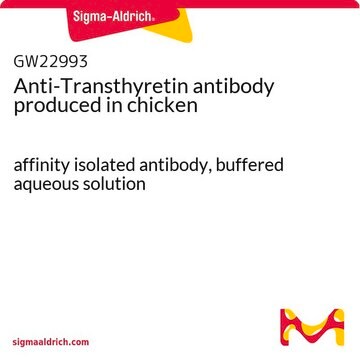 Anti-Transthyretin antibody produced in chicken affinity isolated antibody, buffered aqueous solution