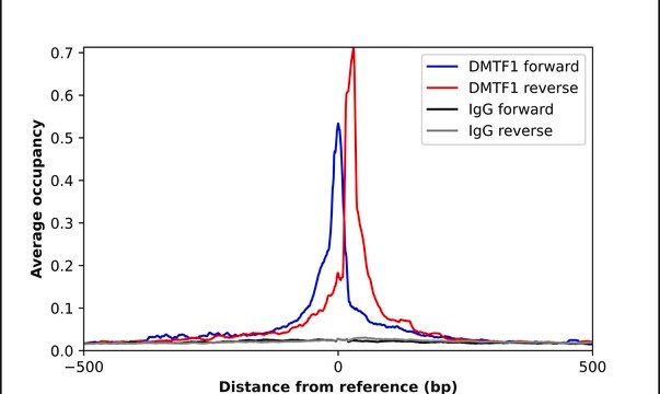 Anti-DMTF1 antibody produced in rabbit Prestige Antibodies&#174; Powered by Atlas Antibodies, affinity isolated antibody, buffered aqueous glycerol solution