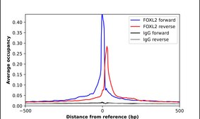 抗-FOXL2 兔抗 Prestige Antibodies® Powered by Atlas Antibodies, affinity isolated antibody, buffered aqueous glycerol solution