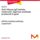 Anti-Mouse IgG (whole molecule)−Agarose antibody produced in goat affinity isolated antibody, suspension