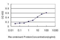 Monoclonal Anti-TAF1A antibody produced in mouse clone 1F8, purified immunoglobulin, buffered aqueous solution