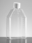 Corning® Falcon® Cell Culture Flask capacity 150 mL, straight neck, graduated, 10 ‑ 200 mL, cap, white plug seal