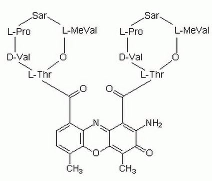 Actinomycin D, Streptomyces sp. Anti-neoplastic antibiotic. Inhibits DNA-primed RNA polymerase by complexing with DNA via deoxyguanosine residues.