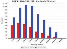 Anti-AQP5 (376-390) antibody produced in rabbit IgG fraction of antiserum, buffered aqueous solution