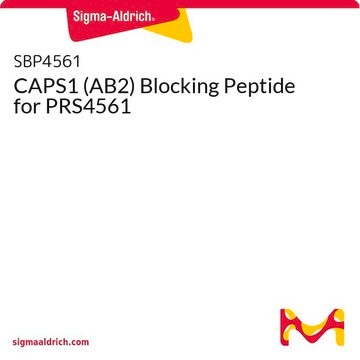 CAPS1 (AB2) Blocking Peptide for PRS4561