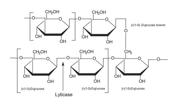 Glucan from baker's yeast (S.&#160;cerevisiae) &#8805;98.00%