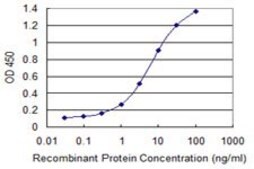 ANTI-ZSCAN21 antibody produced in mouse clone 4B11, purified immunoglobulin, buffered aqueous solution