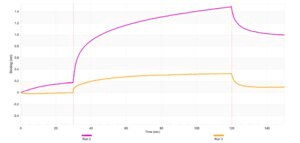 Anti-FLIP Antibody, clone 2K7 ZooMAb® Rabbit Monoclonal recombinant, expressed in HEK 293 cells