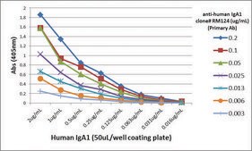 Anti-Human IgA1 antibody, Rabbit monoclonal recombinant, expressed in HEK 293 cells, clone RM124, purified immunoglobulin