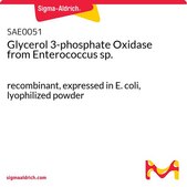 Glycerol 3-phosphate Oxidase from Enterococcus sp. recombinant, expressed in E. coli, lyophilized powder
