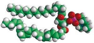 16:0-22:6 PC Avanti Research&#8482; - A Croda Brand