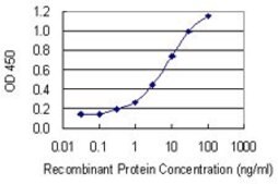 Monoclonal Anti-RAB33A antibody produced in mouse clone 8A11, purified immunoglobulin, buffered aqueous solution