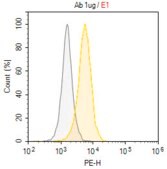 Anti-CD96 Antibody, clone NK92.39