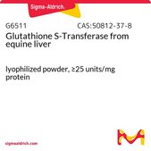 Glutathione S-Transferase from equine liver lyophilized powder, ≥25 units/mg protein