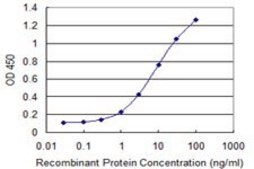Monoclonal Anti-C9orf95 antibody produced in mouse clone 2A10, purified immunoglobulin, buffered aqueous solution