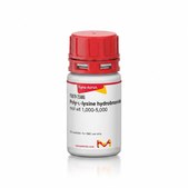 聚-L-赖氨酸 氢溴酸盐 mol wt 1,000-5,000