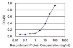 ANTI-PBK antibody produced in mouse clone 2A3, purified immunoglobulin, buffered aqueous solution