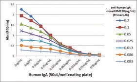 Anti-Human IgA-Biotin antibody, Rabbit monoclonal recombinant, expressed in HEK 293 cells, clone RM128, purified immunoglobulin