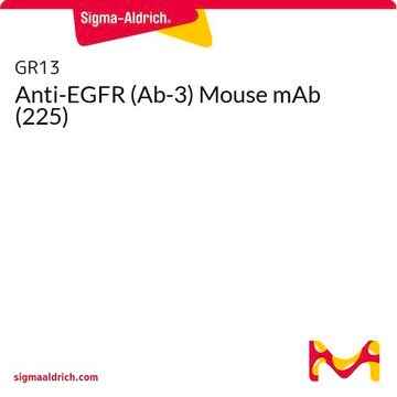 Anti-EGFR (Ab-3) Mouse mAb (225)