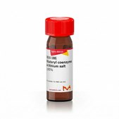 Glutaryl coenzyme A lithium salt ≥90%