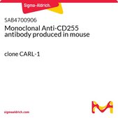 Monoclonal Anti-CD255 antibody produced in mouse clone CARL-1