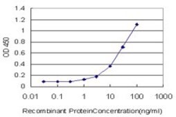 Monoclonal Anti-SH2D3C antibody produced in mouse clone 2G1, purified immunoglobulin, buffered aqueous solution