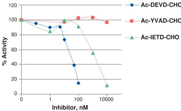 半胱天冬酶 3 人 &#8805;90% (SDS-PAGE), recombinant, expressed in E. coli (C-terminal histidine-tagged), buffered aqueous glycerol solution, &#8805;1.0&#160;units/mg protein