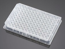 Corning® Falcon® 96 Well Library Storage Plate conical clear polypropylene, sterile
