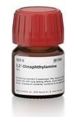 2,2&#8242;-Dinaphthylamine 95%