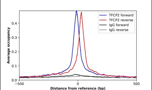 Anti-TFCP2 antibody produced in rabbit Prestige Antibodies&#174; Powered by Atlas Antibodies, affinity isolated antibody