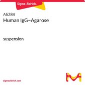 Human IgG−Agarose suspension