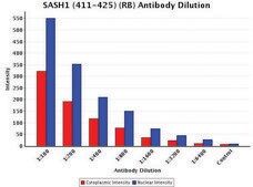 Anti-SASH1 (411-425) antibody produced in rabbit IgG fraction of antiserum, buffered aqueous solution