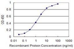Monoclonal Anti-PRRG2 antibody produced in mouse clone 7D1, purified immunoglobulin, buffered aqueous solution