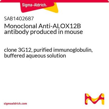 Monoclonal Anti-ALOX12B antibody produced in mouse clone 3G12, purified immunoglobulin, buffered aqueous solution