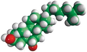 6α-hydroxy-5α-cholestanol Avanti Research™ - A Croda Brand