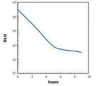 Lumi-Light 蛋白免疫印迹底物