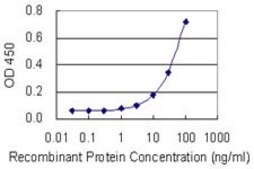 Monoclonal Anti-EIF2C2 antibody produced in mouse clone 4D1-1D1, purified immunoglobulin, buffered aqueous solution