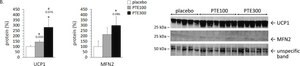 Anti-MFN2 antibody produced in rabbit Prestige Antibodies® Powered by Atlas Antibodies, affinity isolated antibody, buffered aqueous glycerol solution