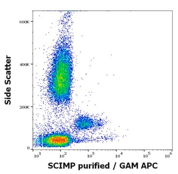 Monoclonal Anti-SCIMP antibody produced in mouse clone NVL-07