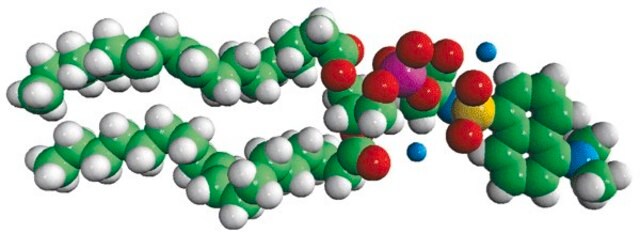 18:1 Dansyl PS Avanti Polar Lipids