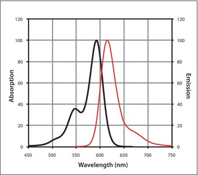 Anti-HA (Hemagglutinin) IgG (H+L), CF&#8482; 594 antibody produced in rabbit ~1&#160;mg/mL, affinity isolated antibody