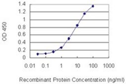 Monoclonal Anti-CHAF1A antibody produced in mouse clone 1C2, purified immunoglobulin, buffered aqueous solution