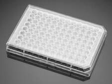 Corning® Falcon® Cell Culture Plate size 96 wells, Tissue Culture (TC)-treated surface, round bottom clear wells, sterile