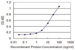 Monoclonal Anti-SUSD5 antibody produced in mouse clone 4G3, purified immunoglobulin, buffered aqueous solution