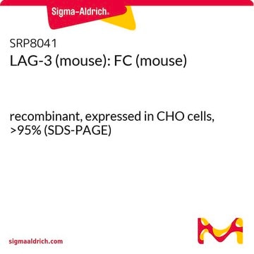 LAG-3 (mouse): FC (mouse) recombinant, expressed in CHO cells, &gt;95% (SDS-PAGE)