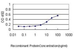 Monoclonal Anti-CAP1 antibody produced in mouse clone 4A2, purified immunoglobulin, buffered aqueous solution