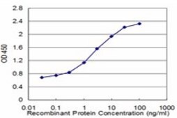 ANTI-ZIC1 antibody produced in mouse clone 1D12, purified immunoglobulin, buffered aqueous solution