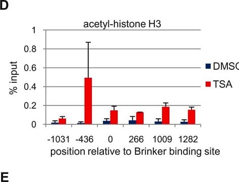 Anti-acetyl-Histone H3 (Lys9) Antibody Upstate&#174;, from rabbit