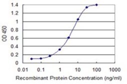 ANTI-ULK2 antibody produced in mouse clone 1A1, purified immunoglobulin, buffered aqueous solution